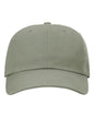 Richardson 254RE Sustainable Ashland Dad Hat