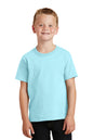 Port & Co ™  Youth Beach Wash ®  Garment-Dyed Tee. PC099Y