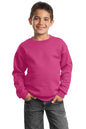 Port & Co ™  Youth Core Fleece Crewneck Sweatshirt.  PC90Y